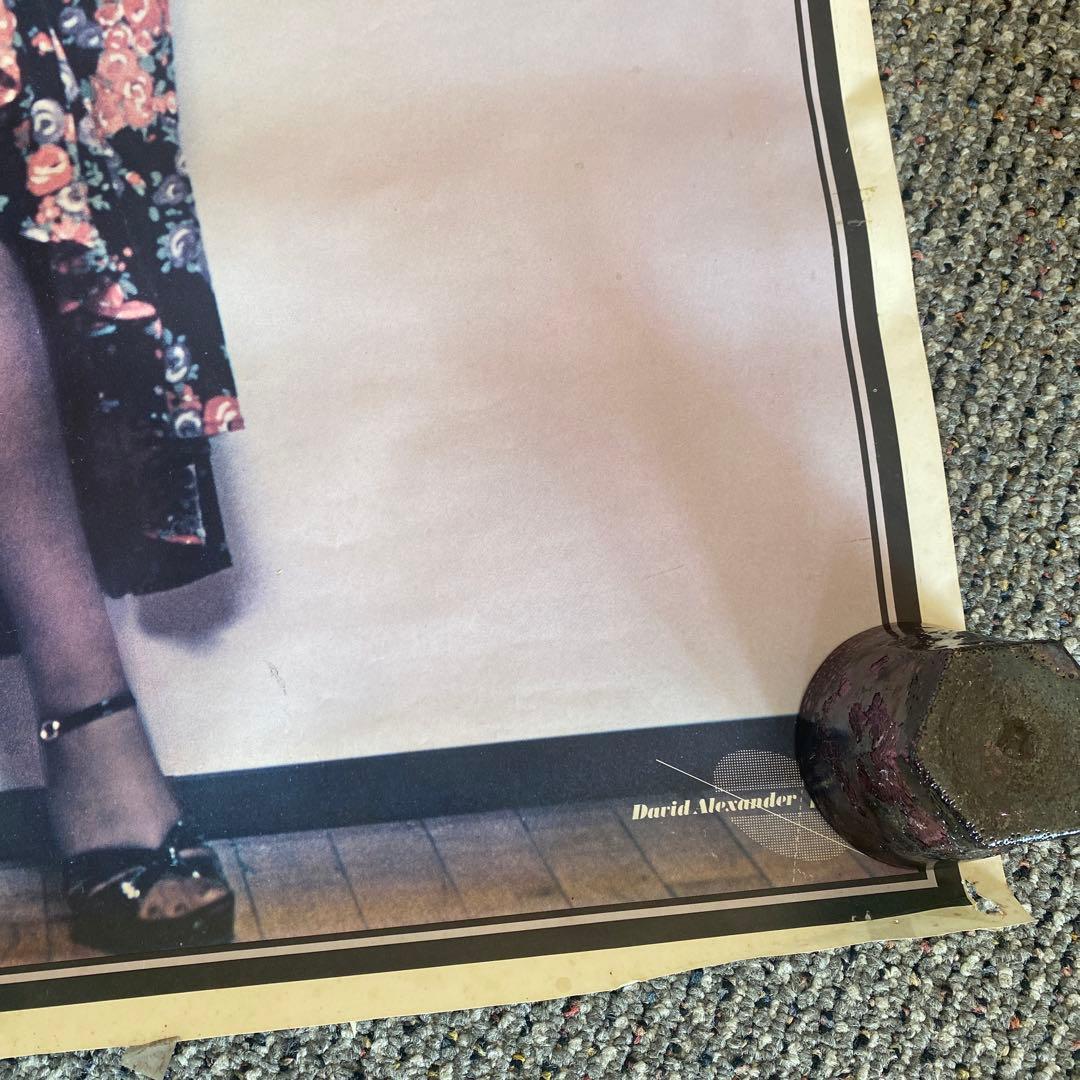 リンダ・ロンシュタット　Linda Ronstadt ポスター　美脚　パンスト