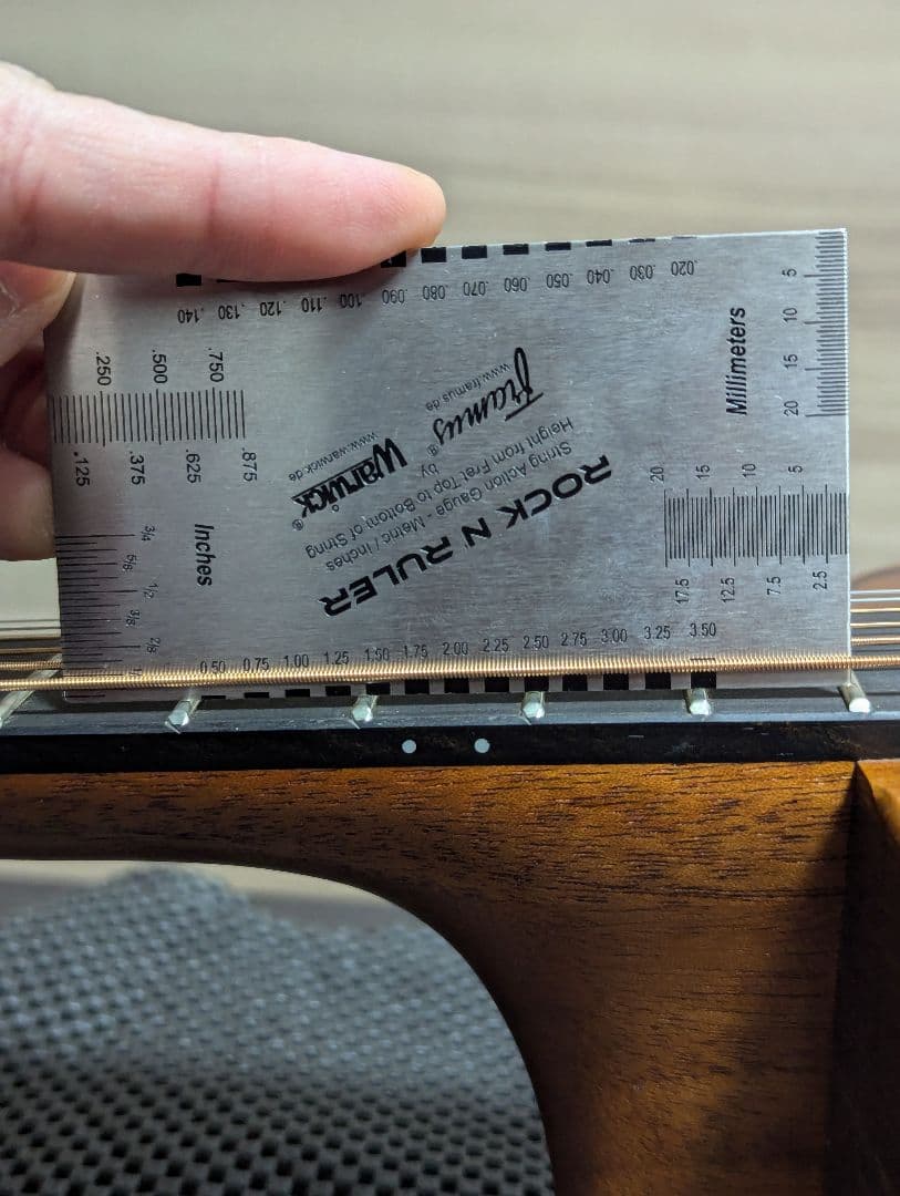 かんな LAG GUITARS SAUVAGE-PE パーラーギター