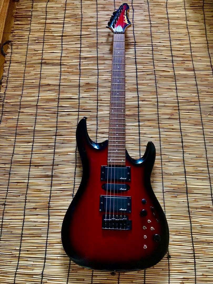 ☆他に類を見ない貴方だけの一本　AriaProⅡ MAGNA HSH ST