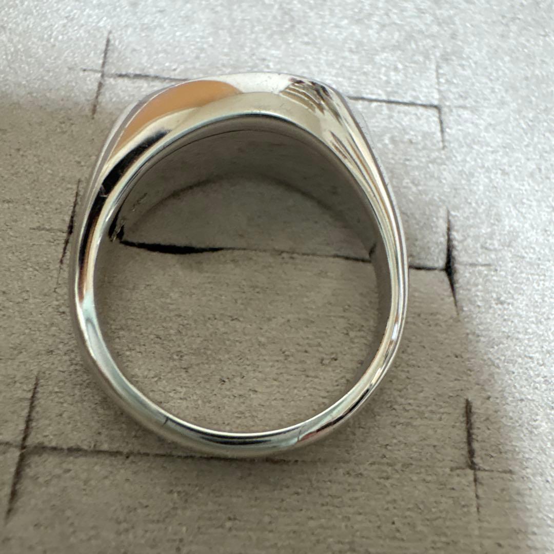 ete シェル タイト シマーリング