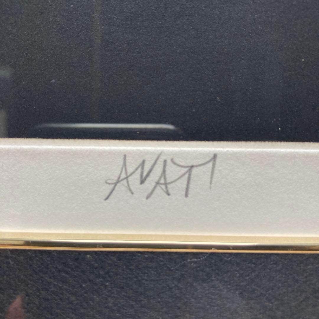 マリオアバチ「ボネッリのシクラメン」カラーメゾチント額49×57絵29×37cm