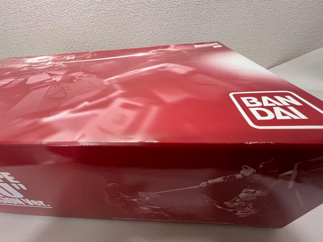 1/100 MG MS-06R 高機動型ザク ”サイコ・ザク”