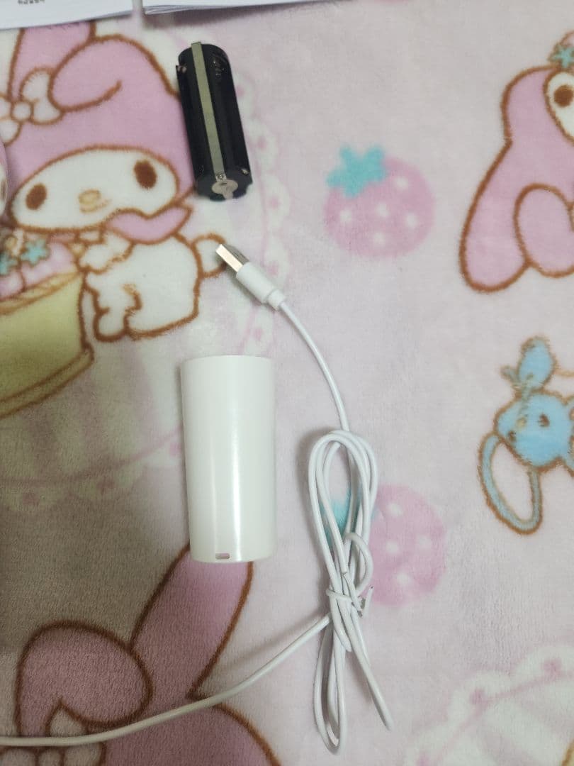 【美品】NiziU ペンライト ペンライトケース セット