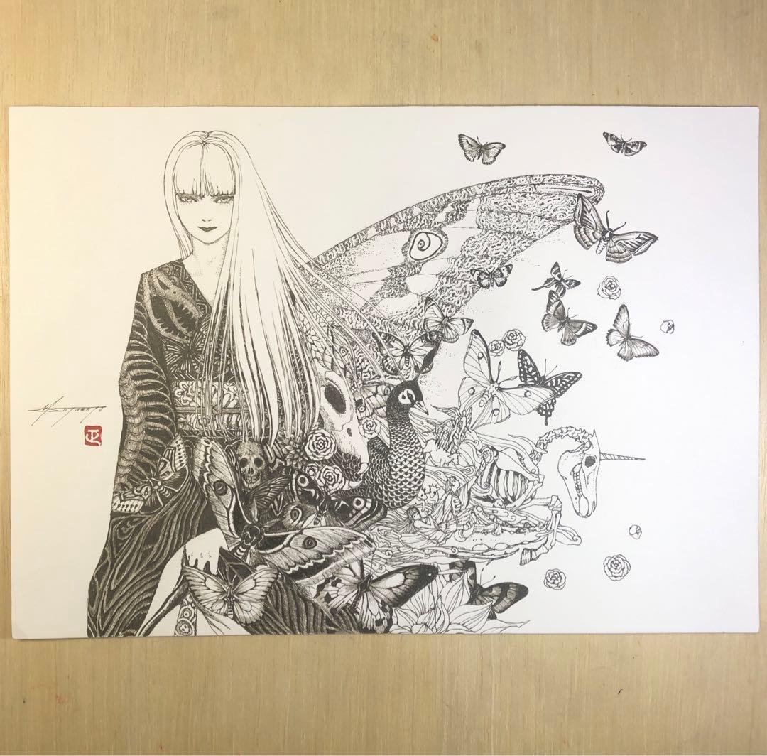 始祖蝶　Ancester’s Butterfly 【肉筆絵画】