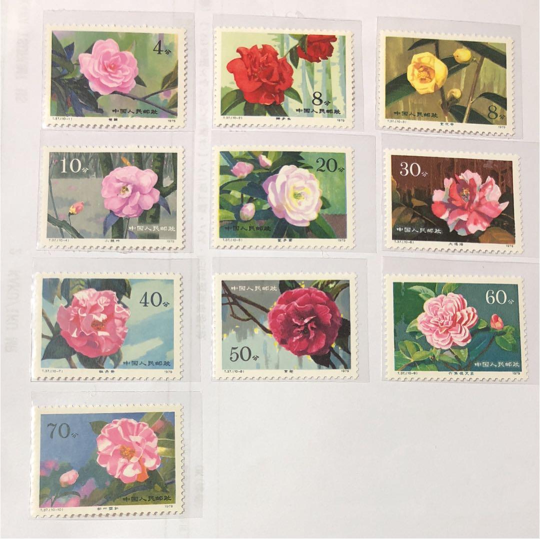 新春セール 中華人民共和国切手 山茶花 1979年 美品