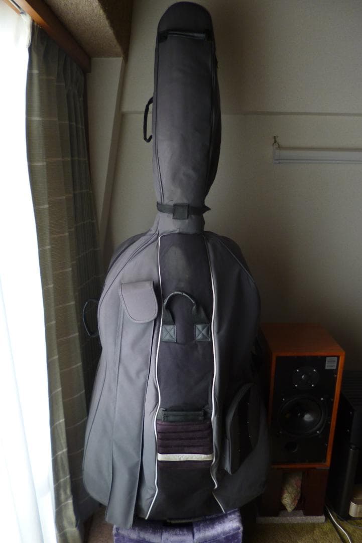 【直接手渡限定】GLIGA コントラバス GemsⅡ 2021製 Size3/4