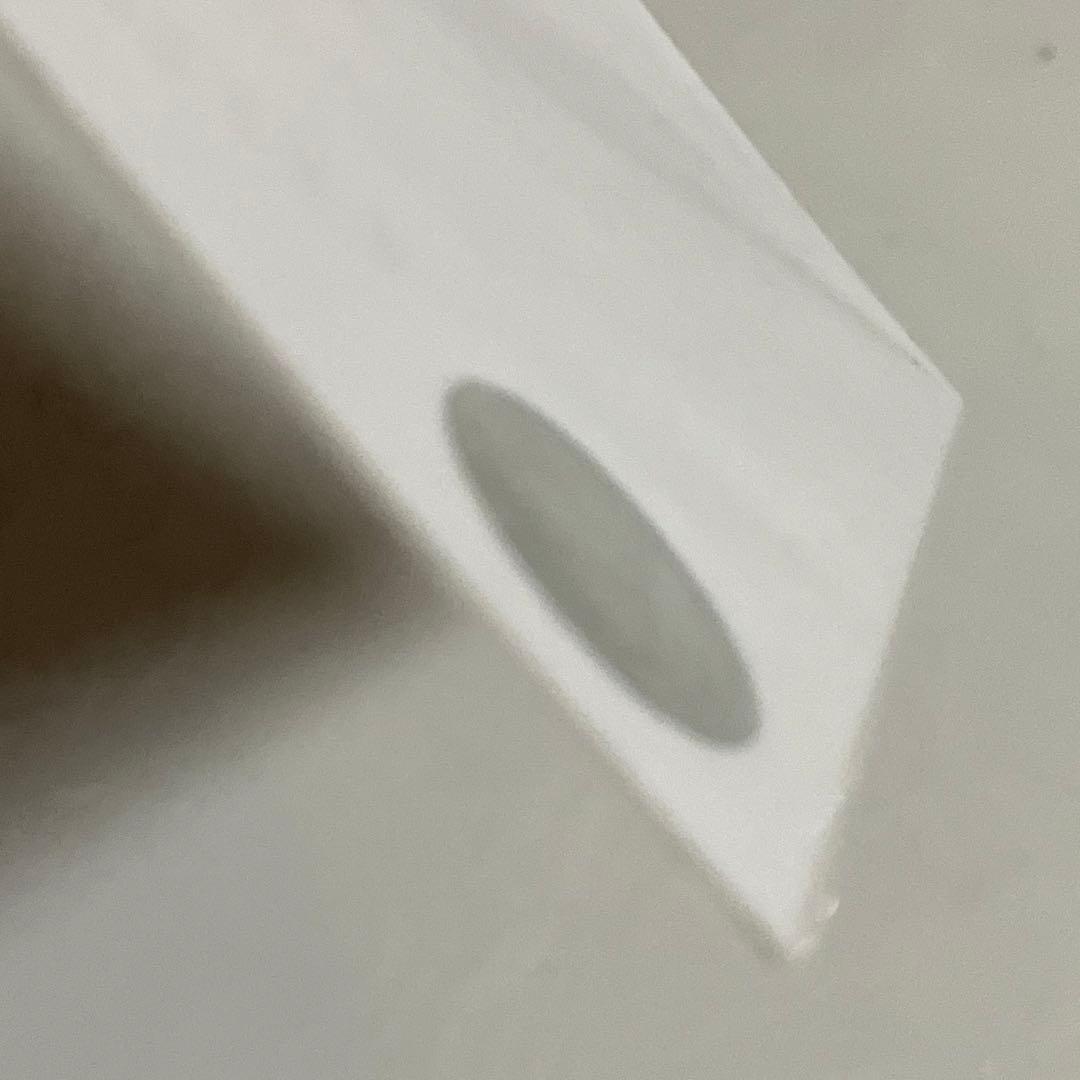 乃木坂46 生写真　掛橋沙耶香　マシンガンレイン　直筆サイン　自引き品