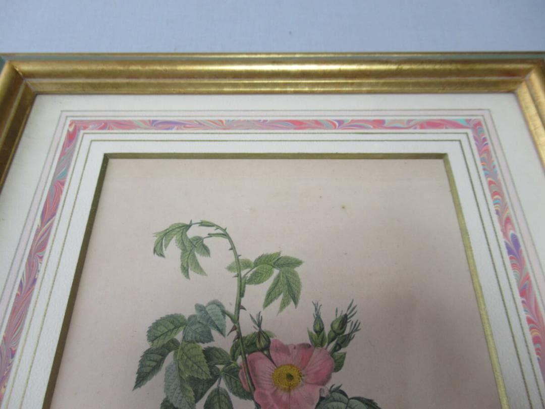 美品 三越発売 定価3万額装◆1835年 ルドゥーテ バラ図譜 ボタニカルアート