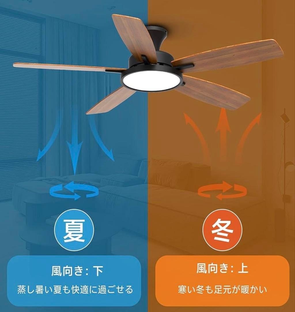 【新品】TALOYA シーリングファンライト