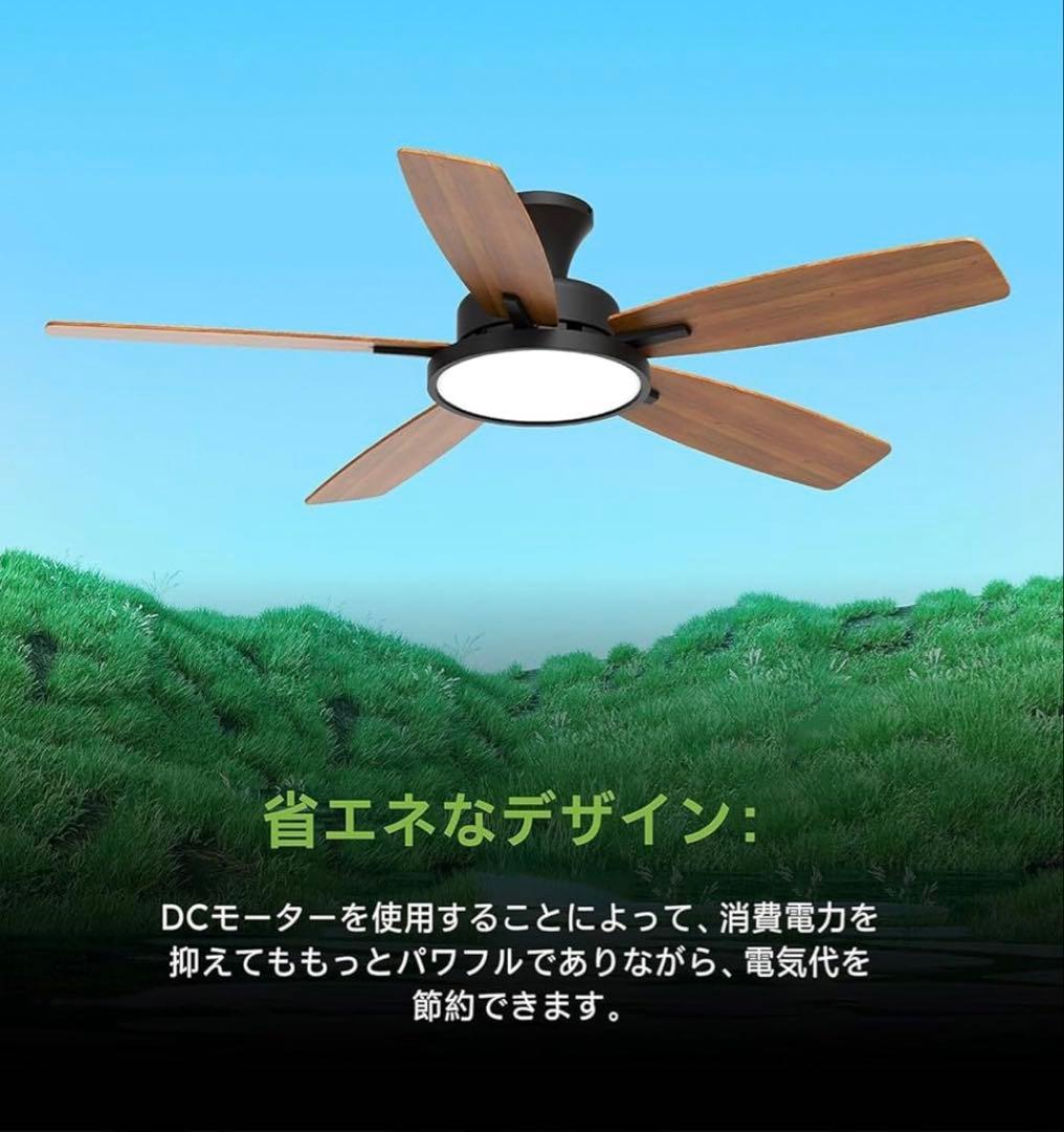 【新品】TALOYA シーリングファンライト