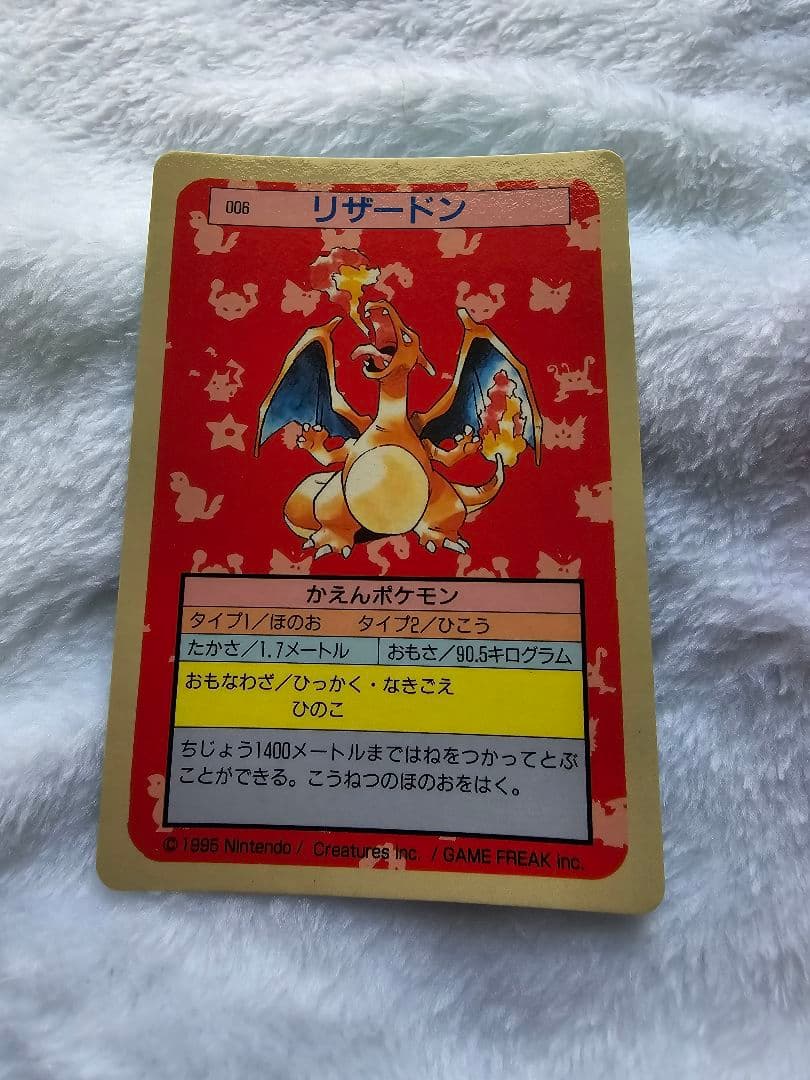 トップサン　リザードン「入札する前に必ず確認を」