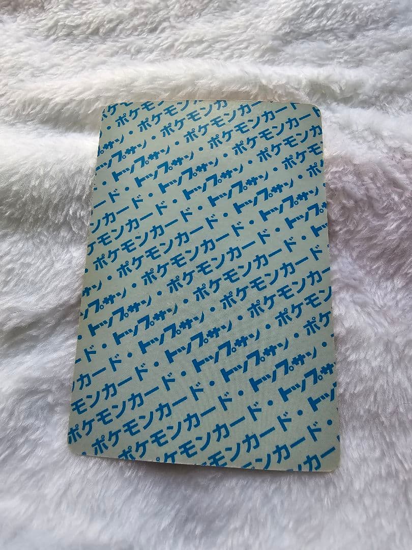 トップサン　リザードン「入札する前に必ず確認を」