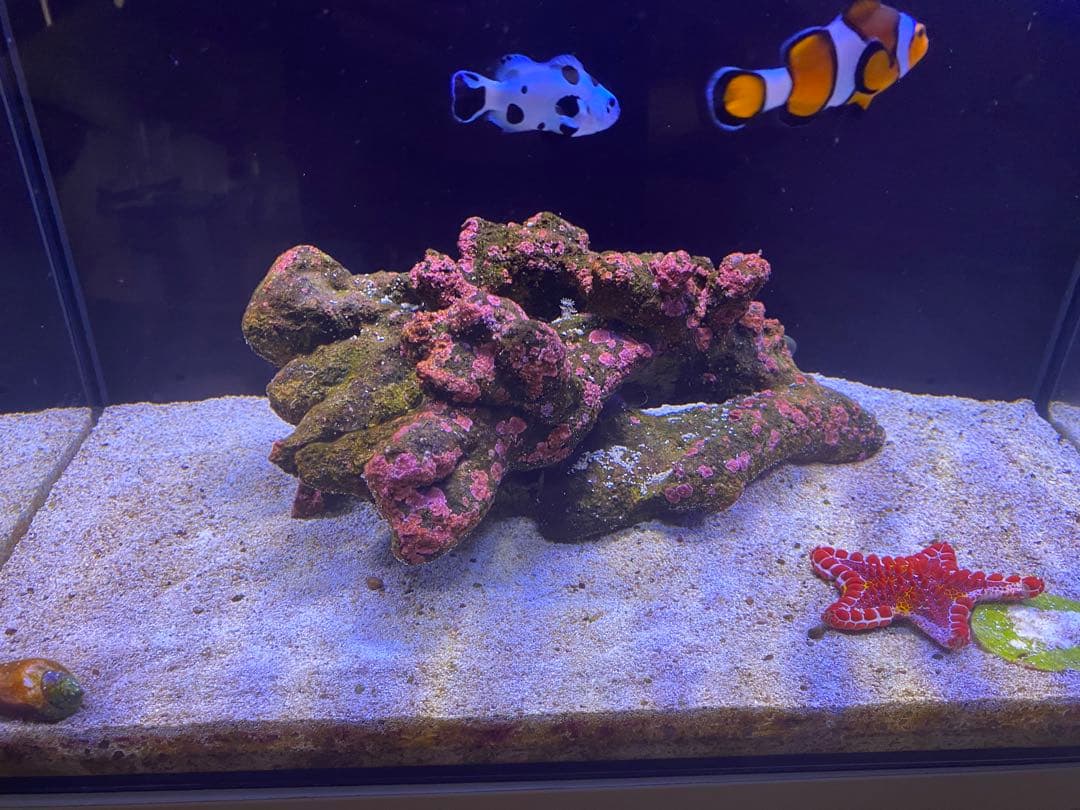 SHELL2 フルセット【引き取り限定】