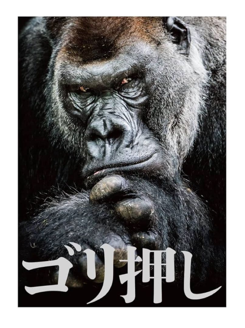 夢双龍覇　モルトDREAM その他デッキパーツ