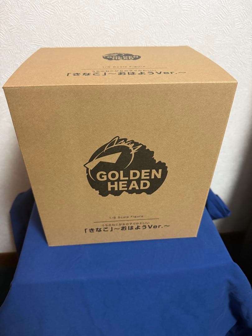 うちのねこが女の子でかわいい「きなこ」～おはようVer. ～ 1/6 フィギュア