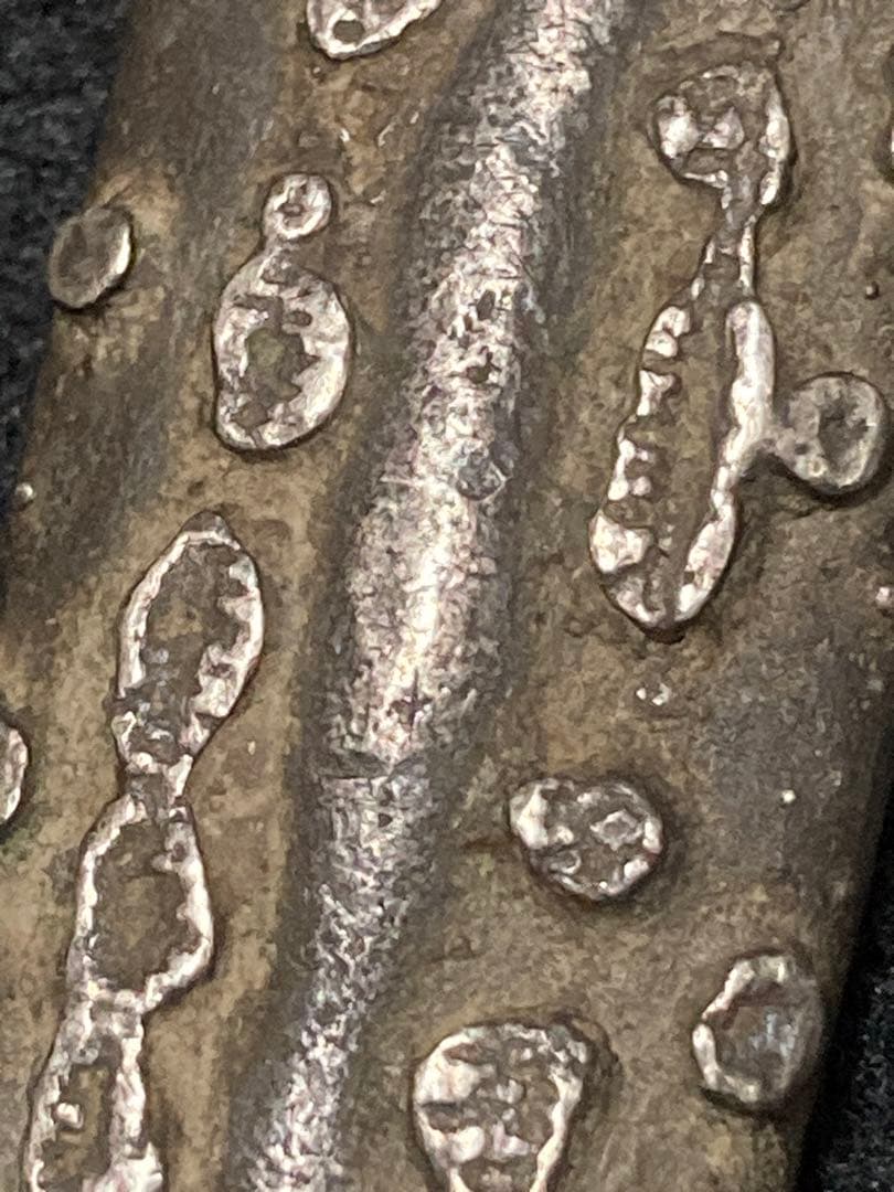 鼠鼠祟祟 様・ご予約▪️タイ 古銭 「 虎舌丁銀 」希少 レア