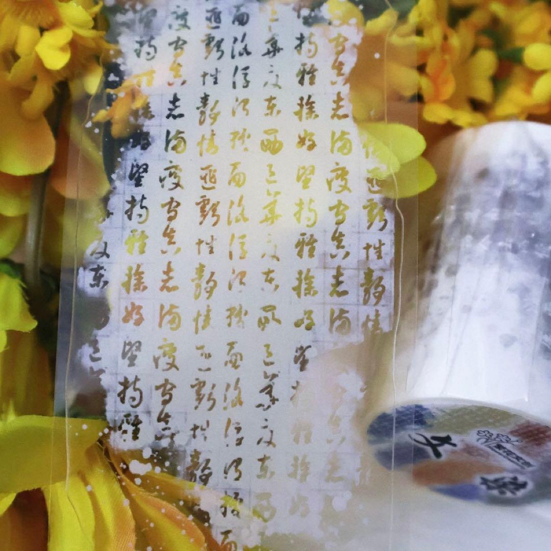 PET 文染 ダイカット加工 5.5cm×5m 海外マスキングテープ