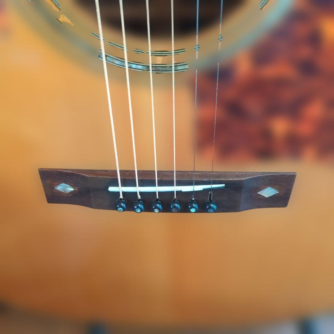 ARIA.希少ADL-05N トップ単板アコースティック ギター