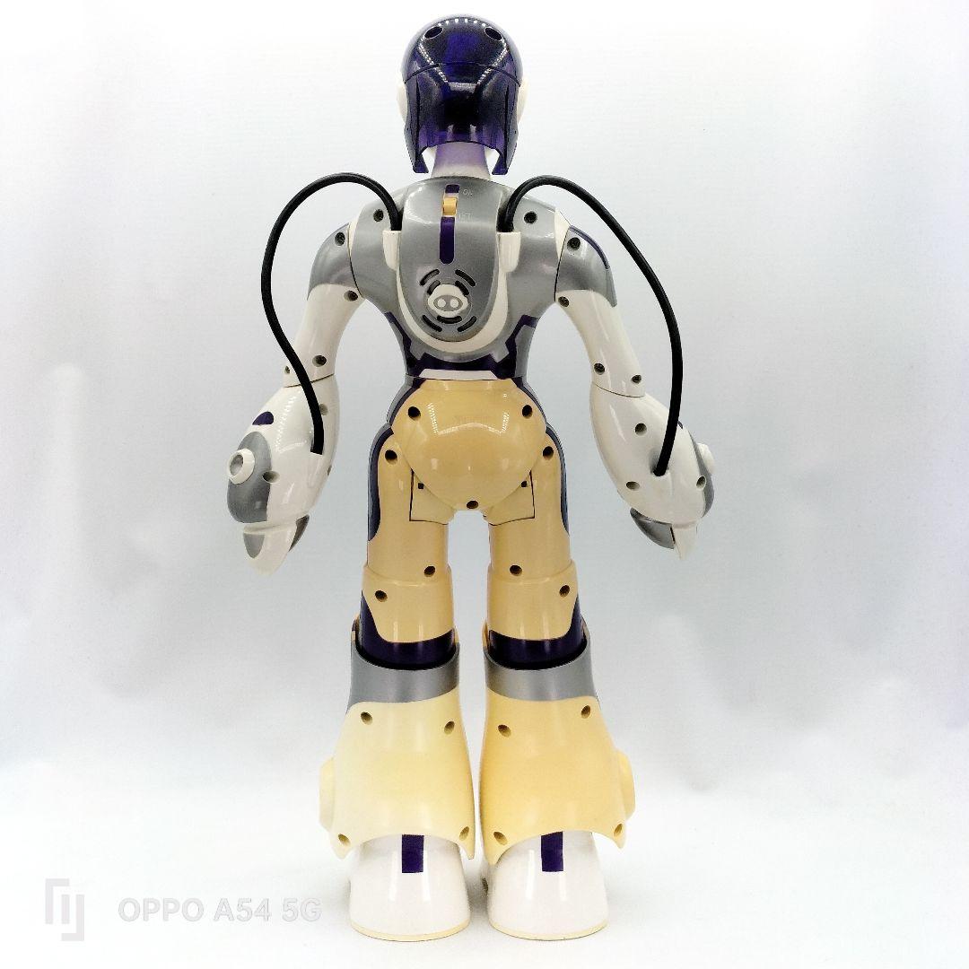 セガトイズ E.M.A エマ 女性型プライベート エンターテインメント ロボット