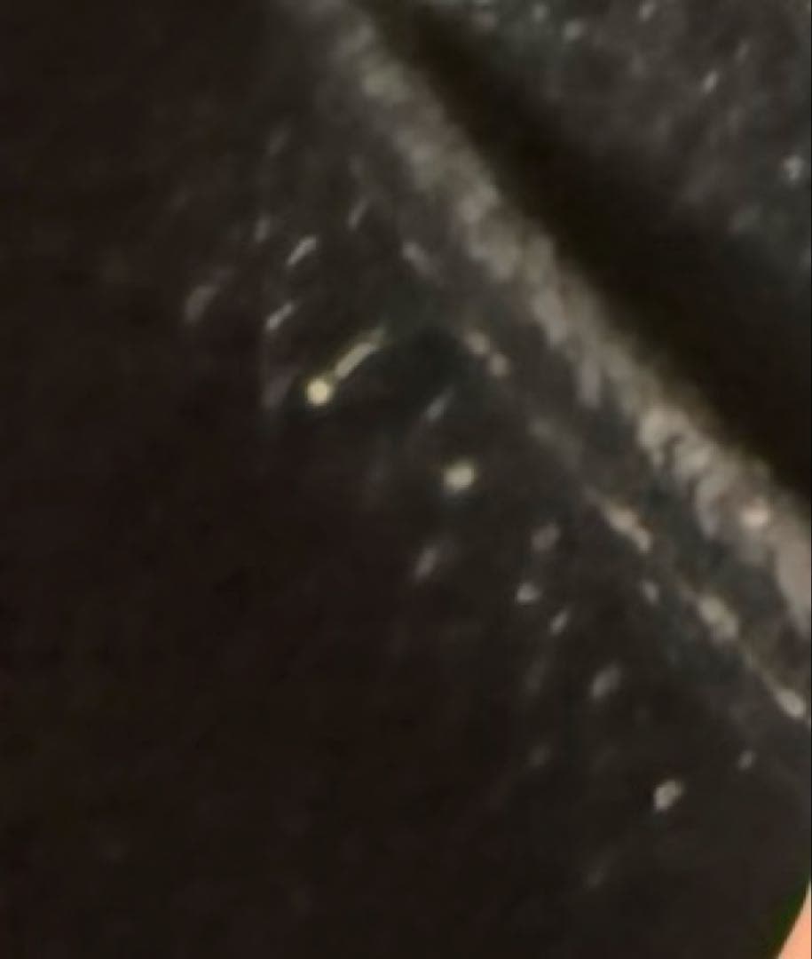 【最終値下げ】ルイヴィトン　ジッピーパース