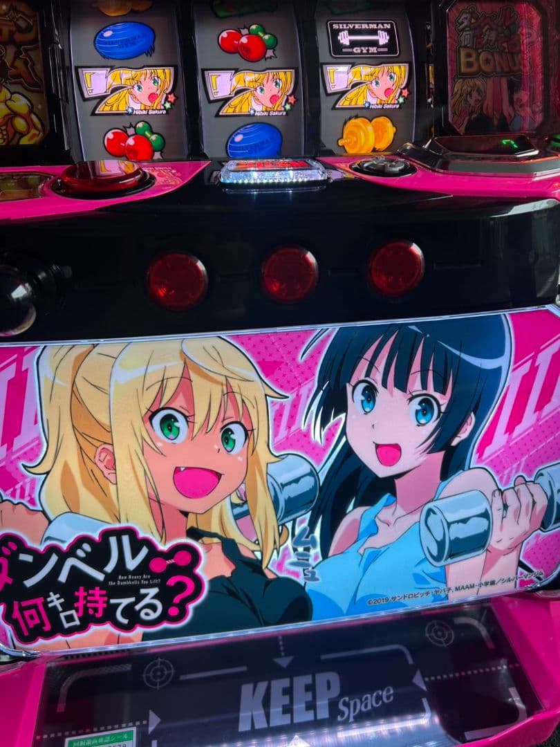 家庭用改造済み　スマスロ　Lダンベル何キロ持てる？X 送料込み