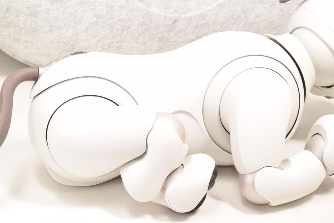 ソニー SONY アイボ ERS-1000 AIBO 犬型