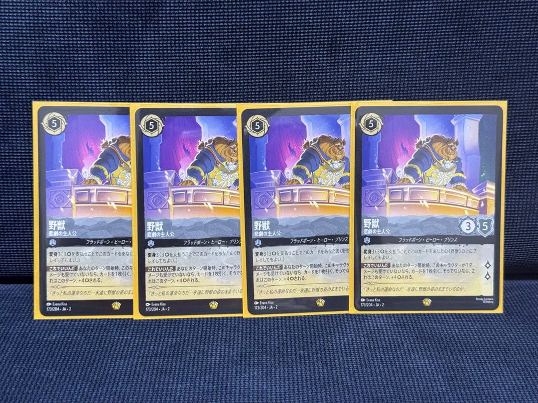 ロルカナ 野獣 4枚