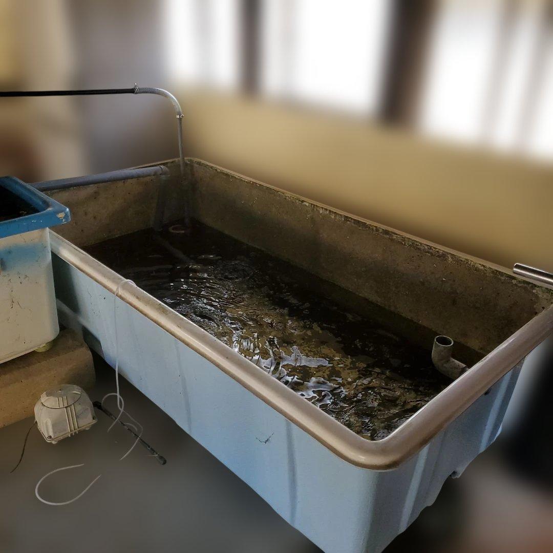 FRP 水槽　幅2m40 奥行き1m20 高さ60cm 濾過水槽セット