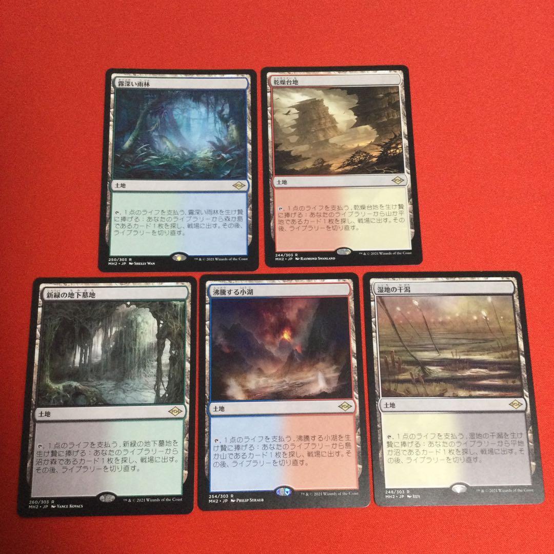 乾燥台地 湿地の干潟 霧深い雨林 沸騰する小湖 新緑の地下墓地 各１枚セット