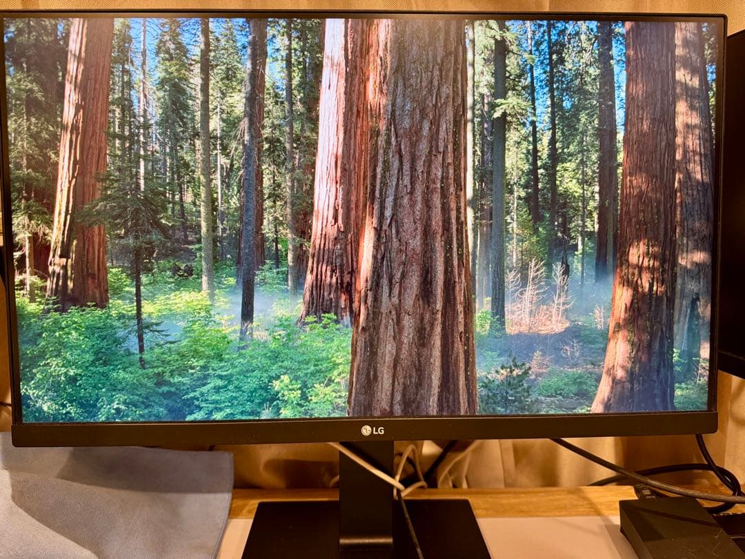 LG 24QP750-B モニター ①