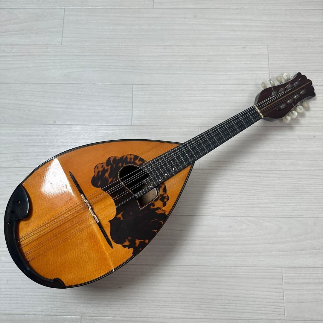 S. Watanabe No.50 Anno1971 渡辺精次 鼈甲多 ※31※