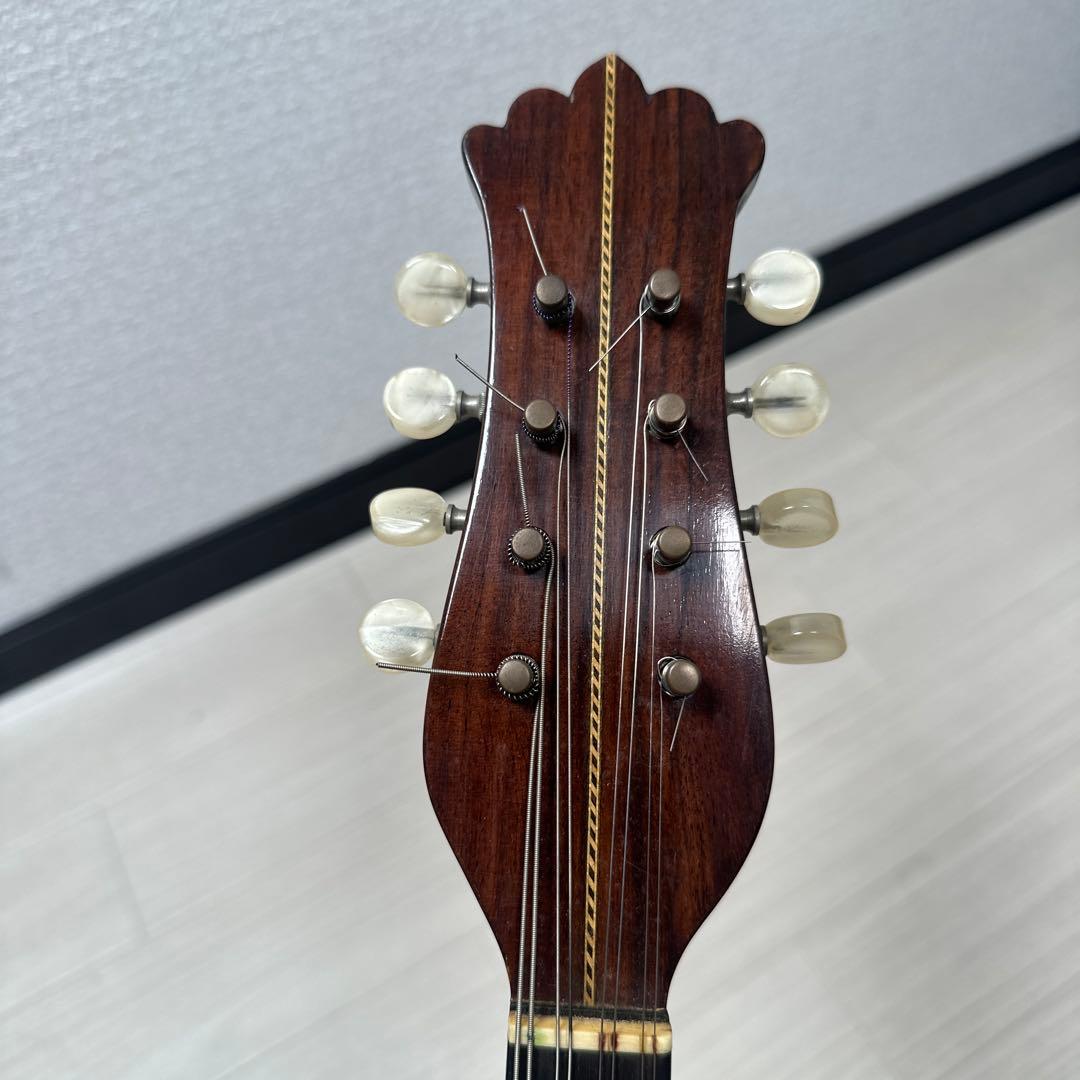 S. Watanabe No.50 Anno1971 渡辺精次 鼈甲多 ※31※