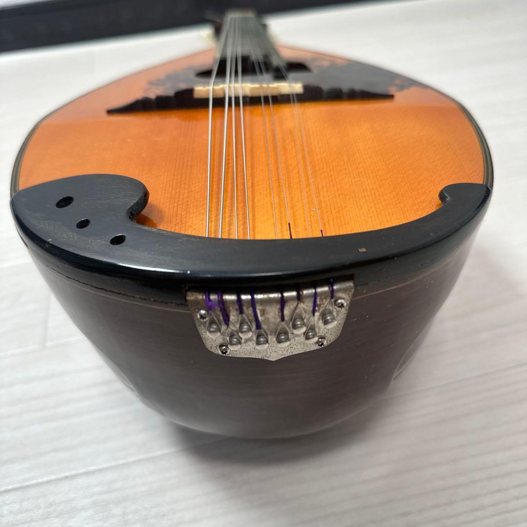 S. Watanabe No.50 Anno1971 渡辺精次 鼈甲多 ※31※