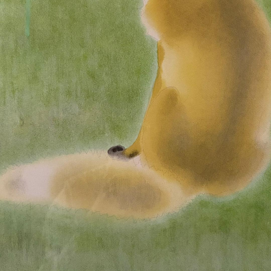 山口華楊「山野辺」狐 リトグラフ 印章有 額縁入り 限定100点 きつね 動物画