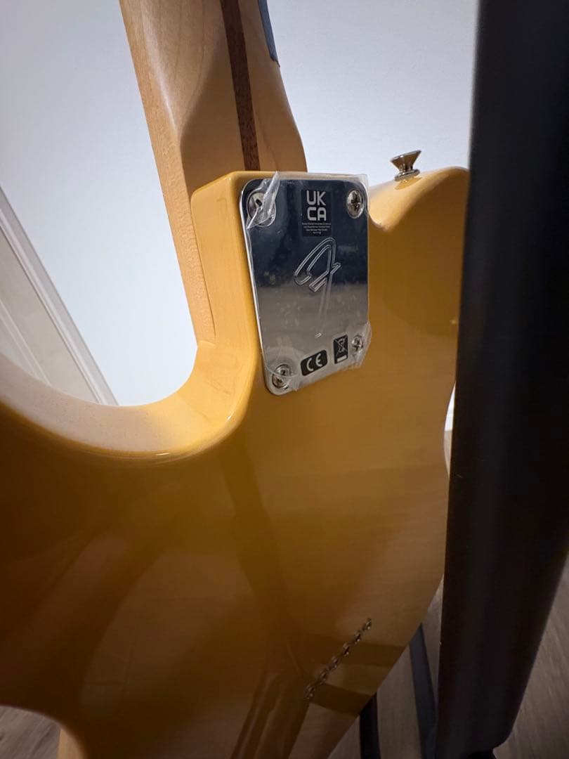 Fender Player Series Telecaster/テレキャスター