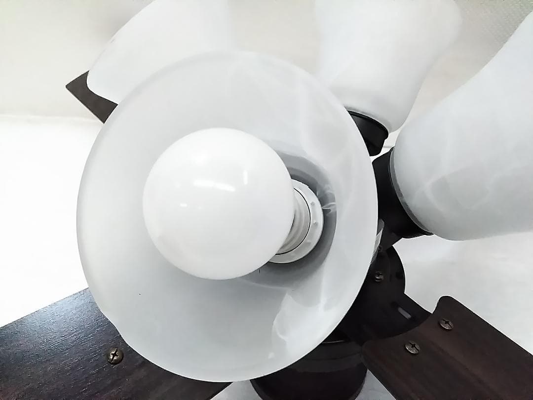 シーリングファン LIT000172 照明 25年製 リモコン付き★