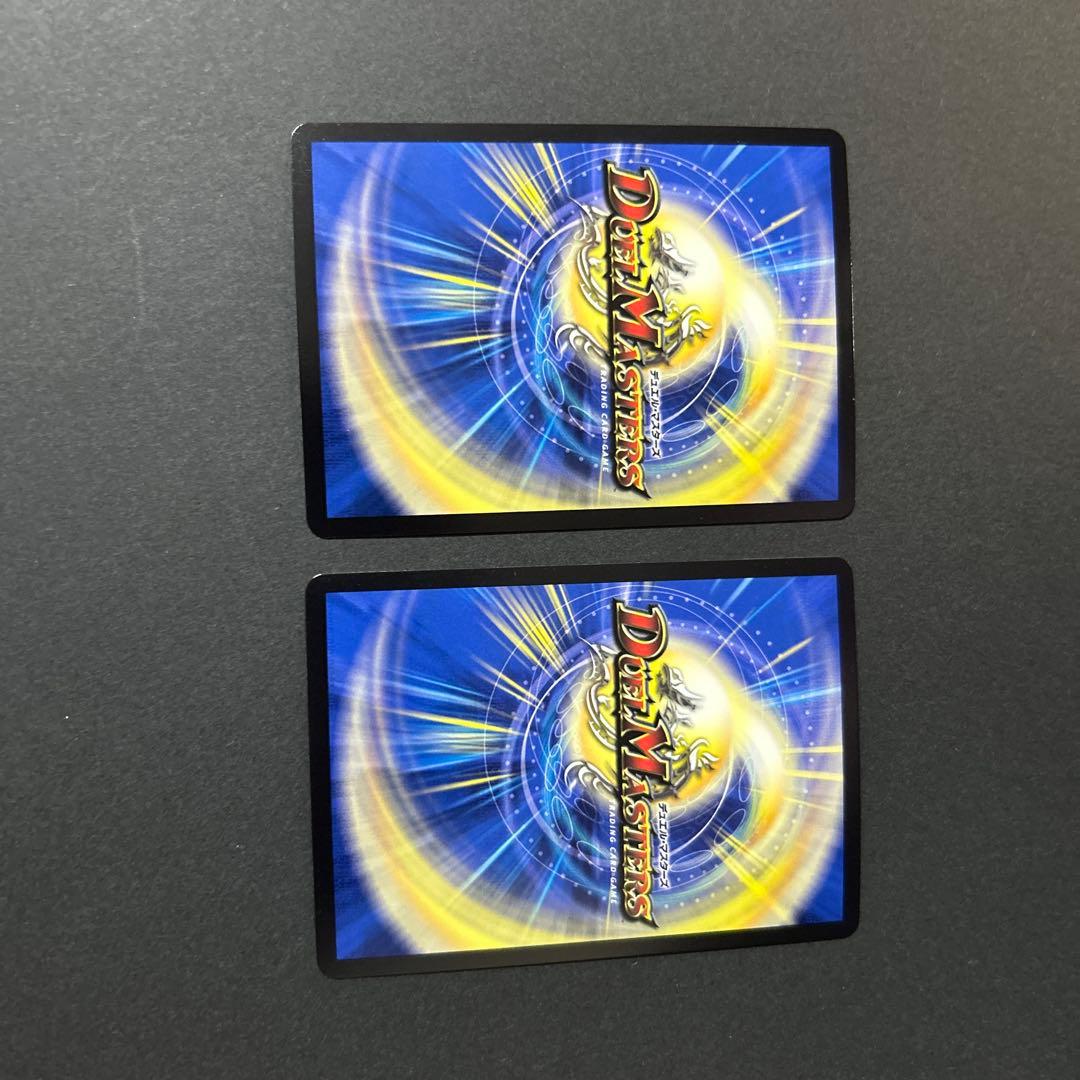 飛翔龍5000VT 赤2枚