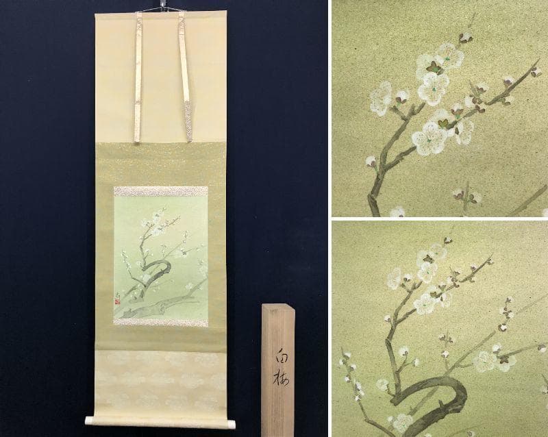 【真作】史朗/白梅図/梅花図/寿/掛軸/名家伝来/AC-202