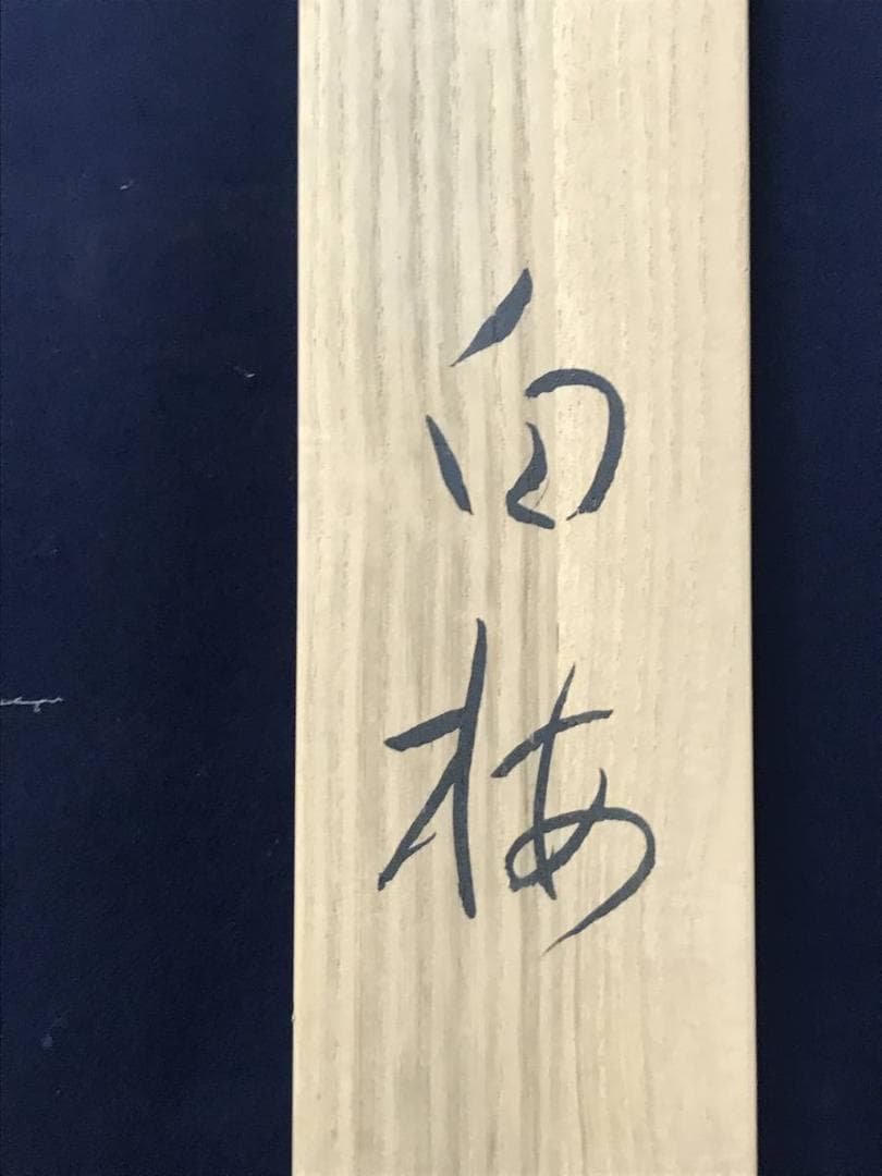 【真作】史朗/白梅図/梅花図/寿/掛軸/名家伝来/AC-202