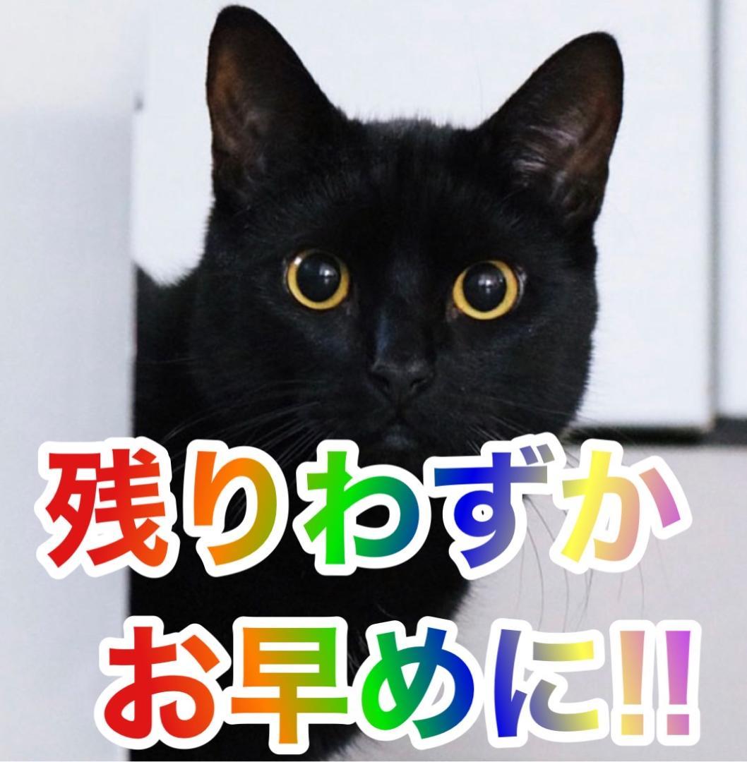 パチスロ実機　SメイドインアビスEN　不要機ボリューム調整付