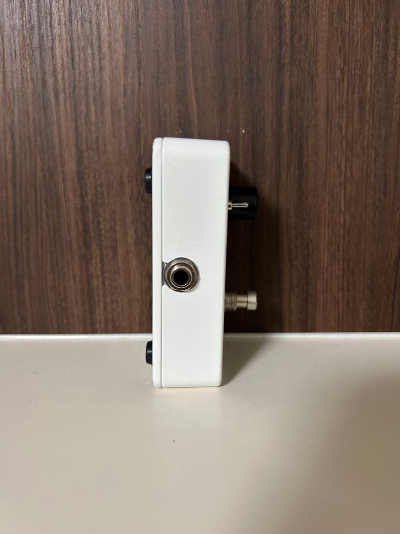 ギター electro-harmonix Holy Grail Neo