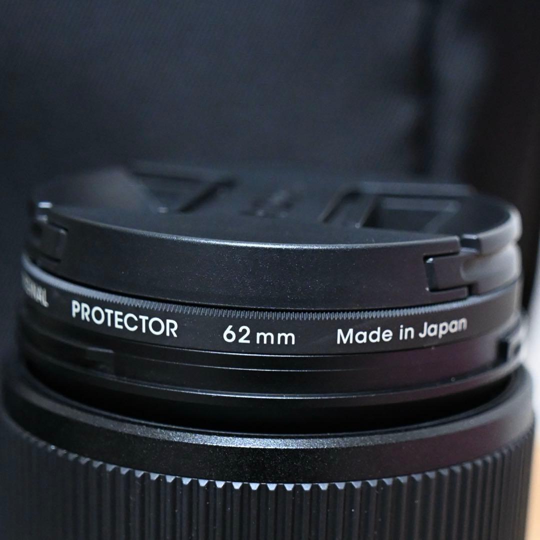 Nikon NIKKOR Z DX 18-140mm (フード等付き