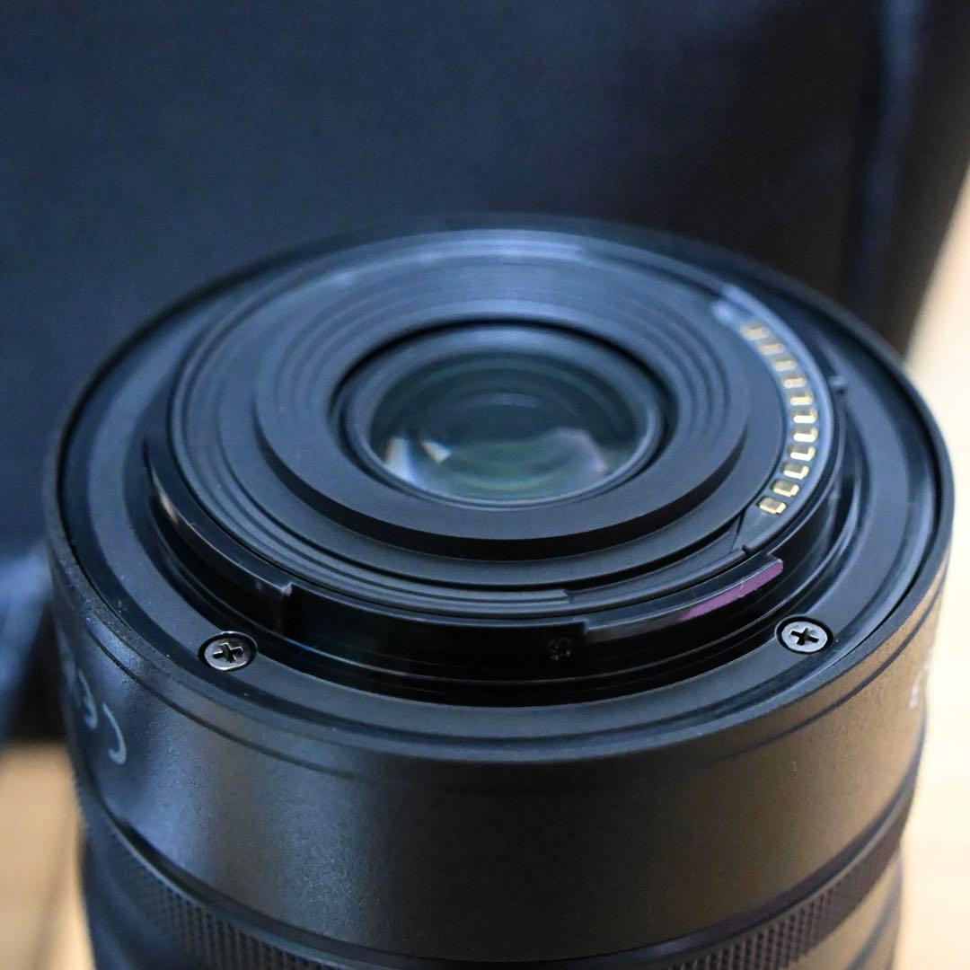 Nikon NIKKOR Z DX 18-140mm (フード等付き