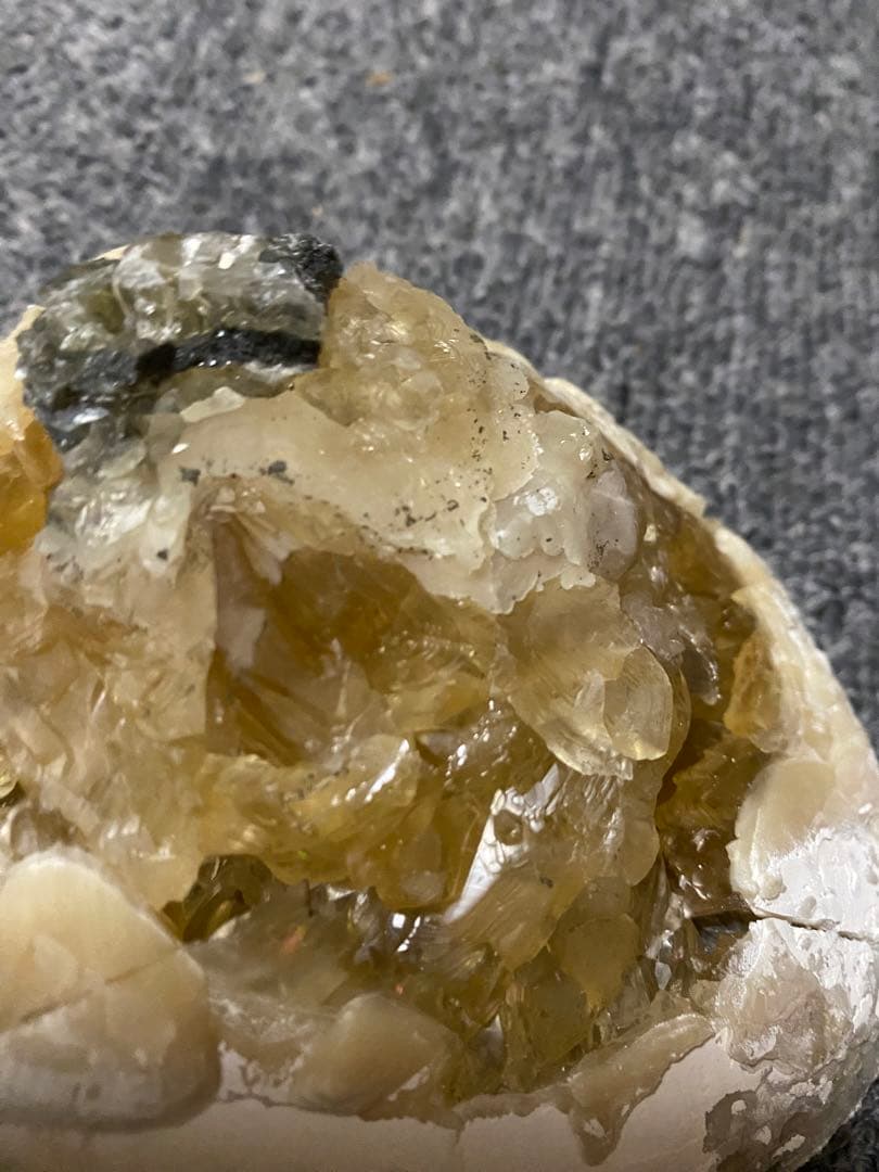 中身が結晶化した貝の化石