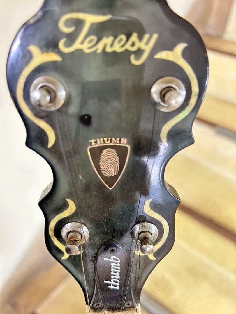 tenesy 5弦 Standard thumb バンジョー　 【手渡しのみ】