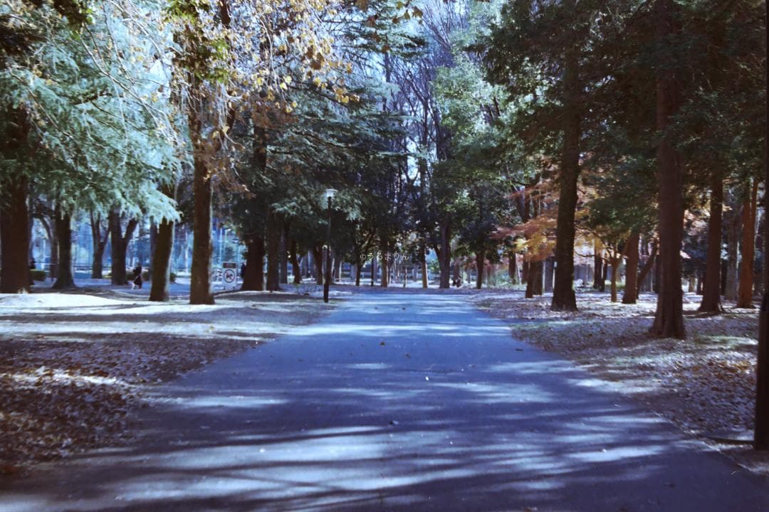 kotatsu様　最もシンプルなM型ライカ！Leica M1 フィルムカメラ