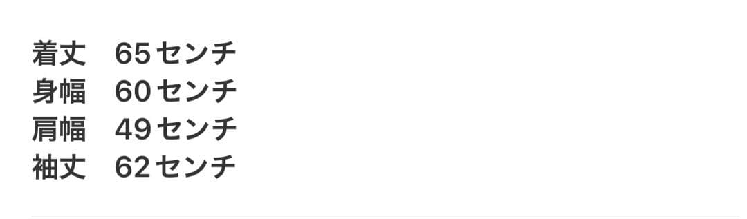 Patagonia ダークグレー パーカー L