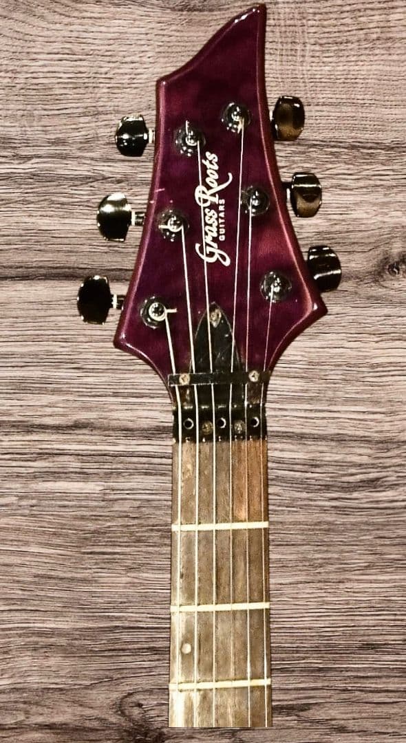 ESPグラスルーツフォレスト シースルーフロイトローズ、ダンカン エレキギター