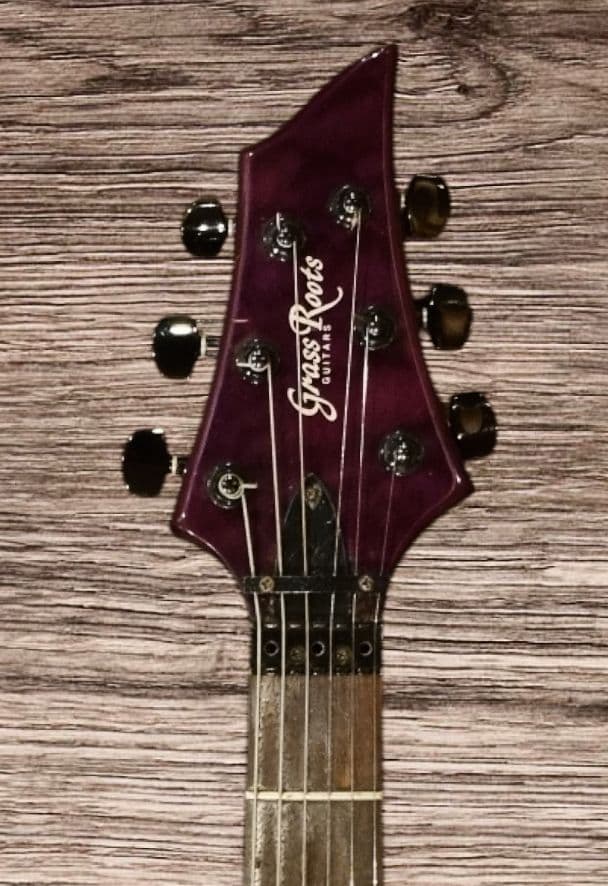 ESPグラスルーツフォレスト シースルーフロイトローズ、ダンカン エレキギター