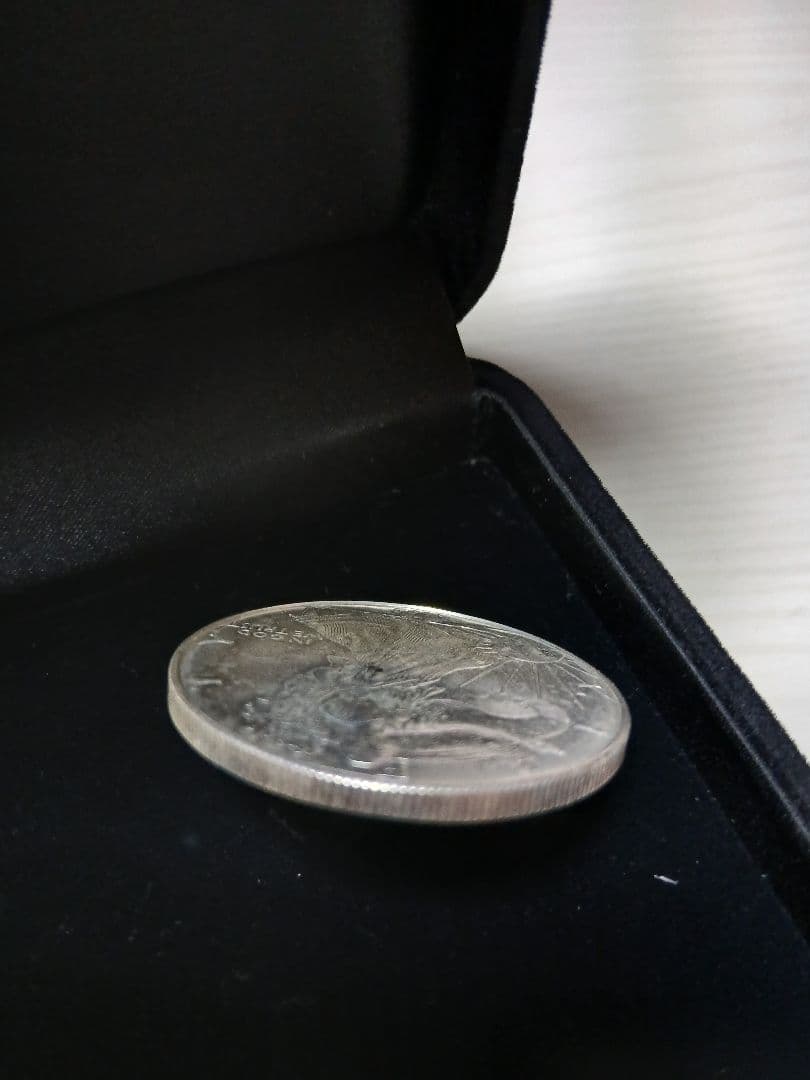 1999年 アメリカウォーキングリバティイーグル銀貨